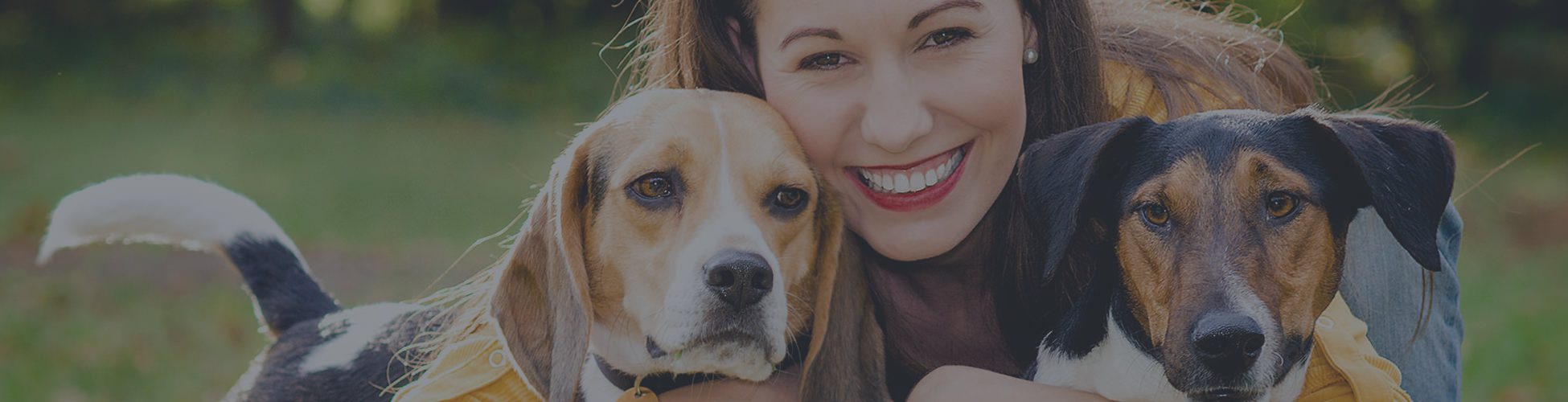 Vet clinic in Cairo cats & dogs