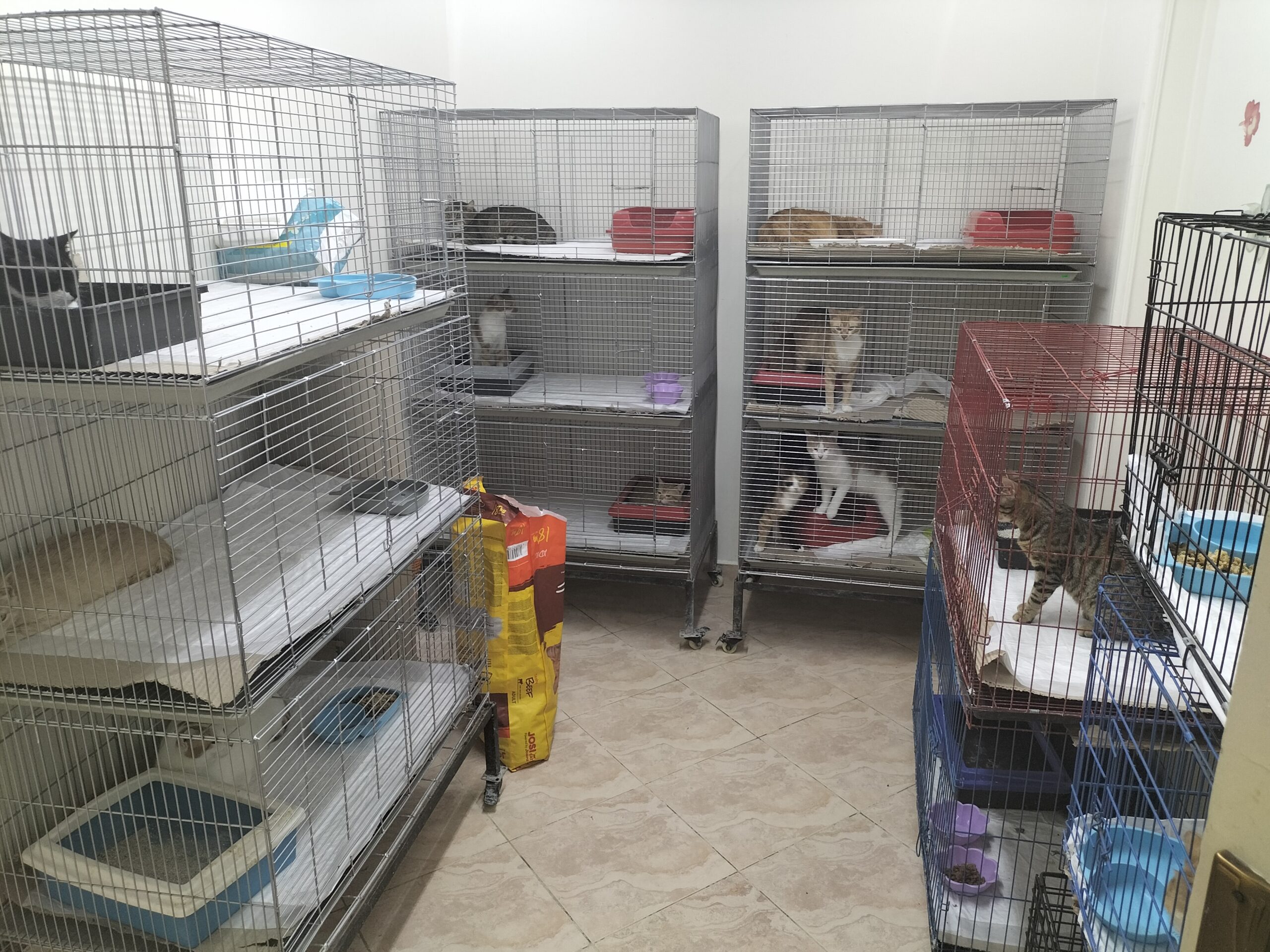 inpatients-hospitalization-boarding